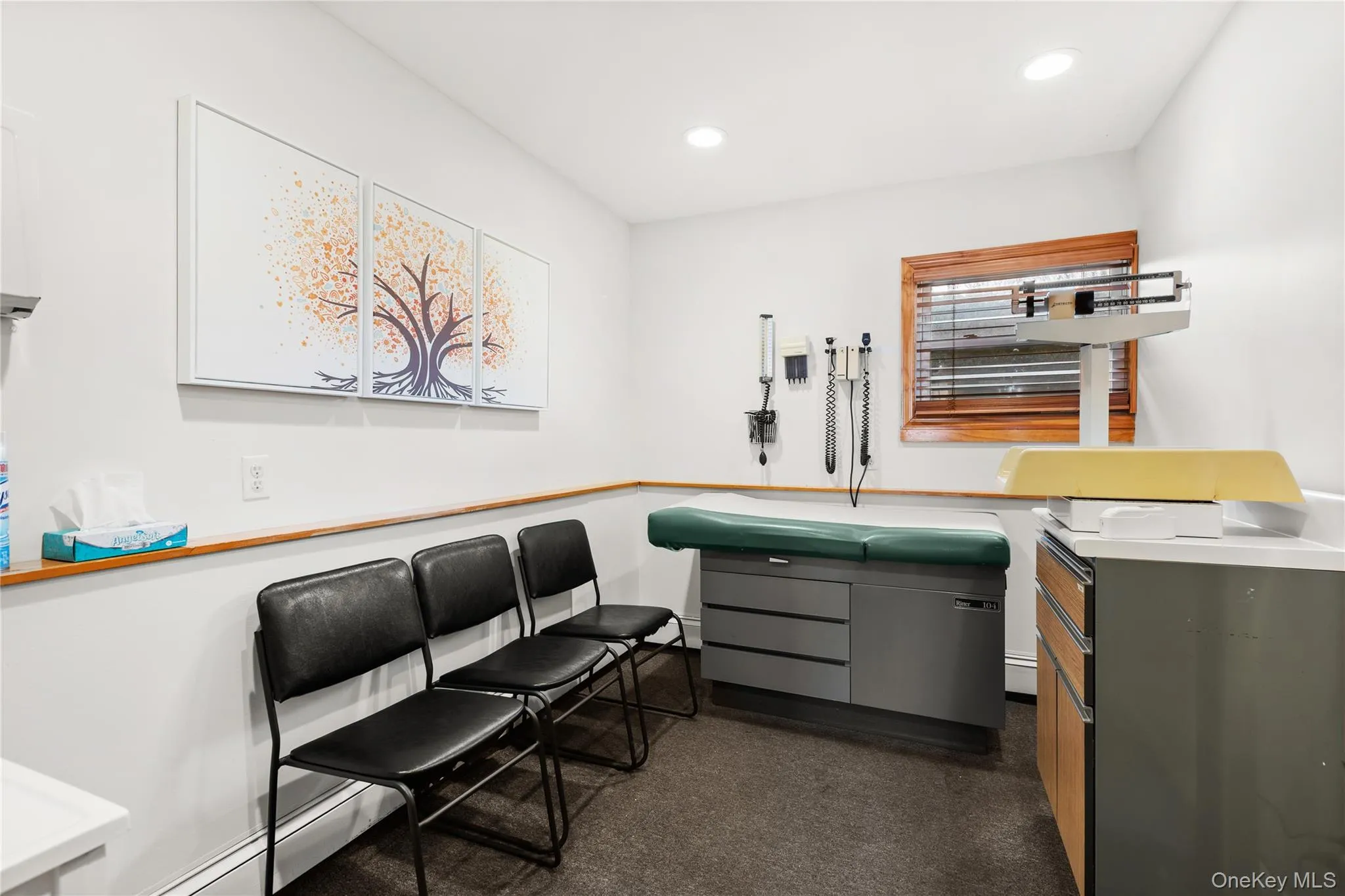 925 Deer Park Avenue, Babylon, NY, ,Commercial Lease,For Rent,Deer Park,0,960088 925 Deer Park Avenue, Babylon, NY, ,Commercial Lease,For Rent,Deer Park,0,960088