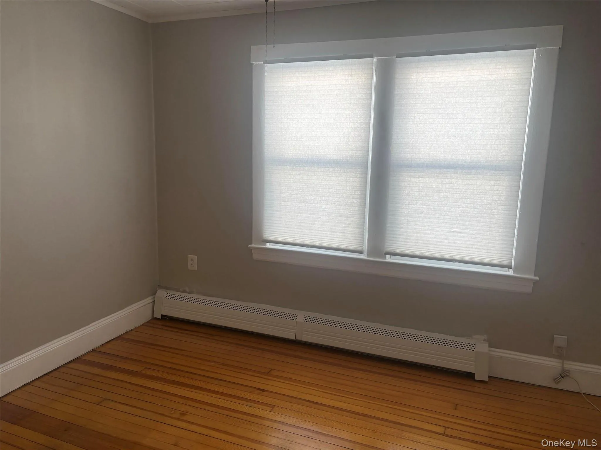 Ample Natural Light in Bedroom Ample Natural Light in Bedroom