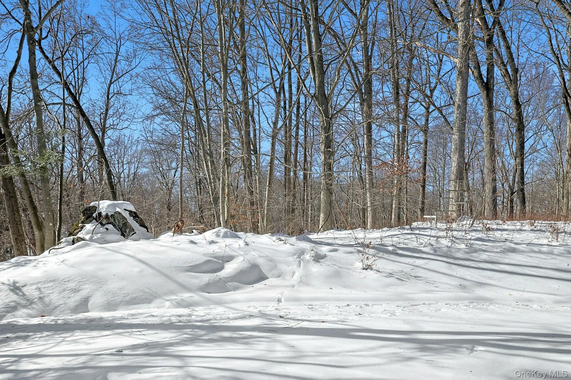 The property is ensconced by trees, offering privacy and natural beauty in warmer months. The property is ensconced by trees, offering privacy and natural beauty in warmer months.