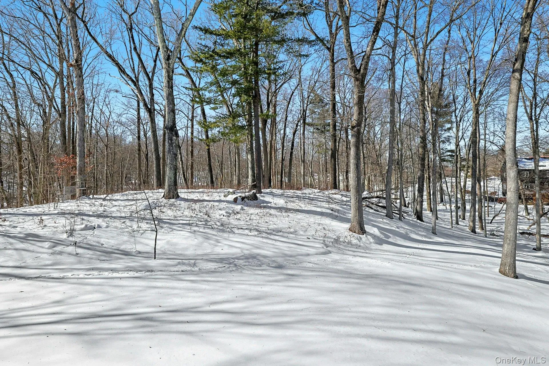 Watch deer stroll buy and hawks landing in the trees. Watch deer stroll buy and hawks landing in the trees.