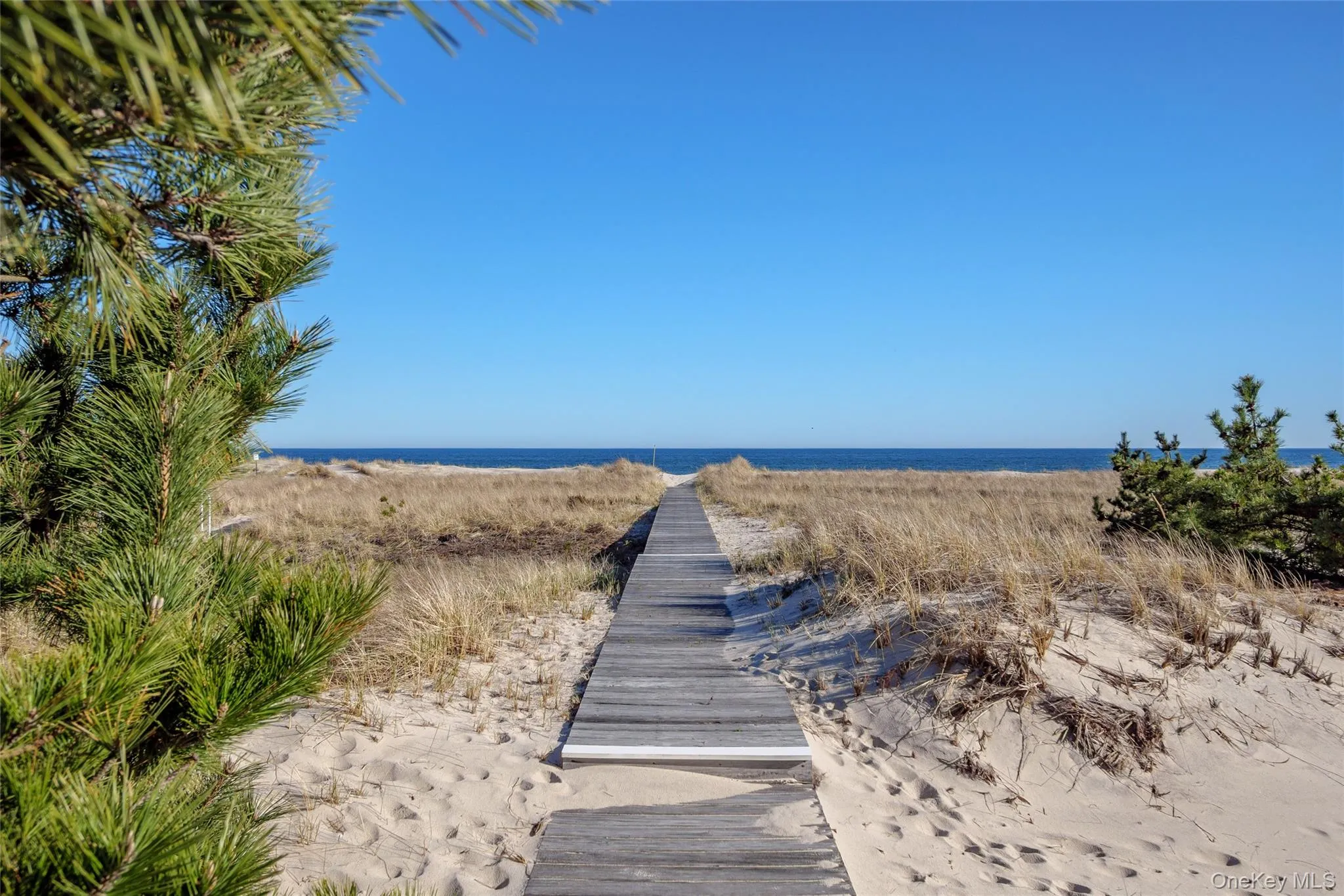 274 Dune Road, Southampton, NY, 1 Bedroom Bedrooms, 3 Rooms Rooms,1 BathroomBathrooms,Residential Lease,For Rent,Dune,0,960647 274 Dune Road, Southampton, NY, 1 Bedroom Bedrooms, 3 Rooms Rooms,1 BathroomBathrooms,Residential Lease,For Rent,Dune,0,960647