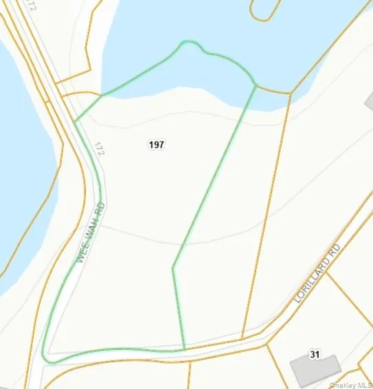 197 Wee Wah Road, Tuxedo, NY, ,Land,For Rent,Wee Wah,0,960704 197 Wee Wah Road, Tuxedo, NY, ,Land,For Rent,Wee Wah,0,960704