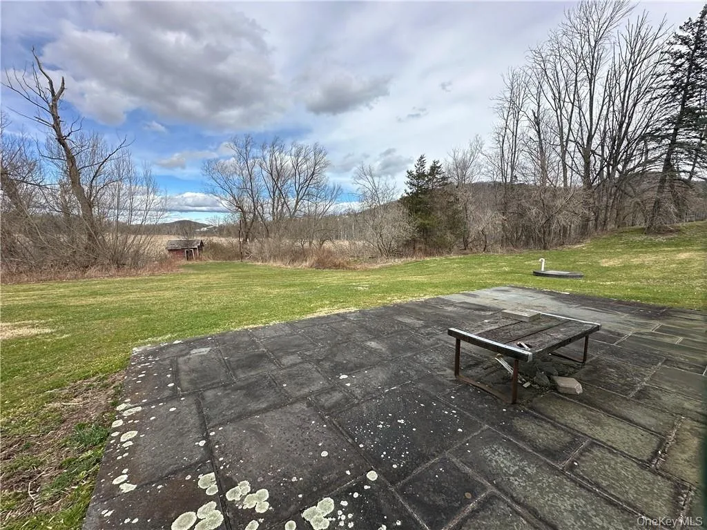 View From the Pation View From the Pation