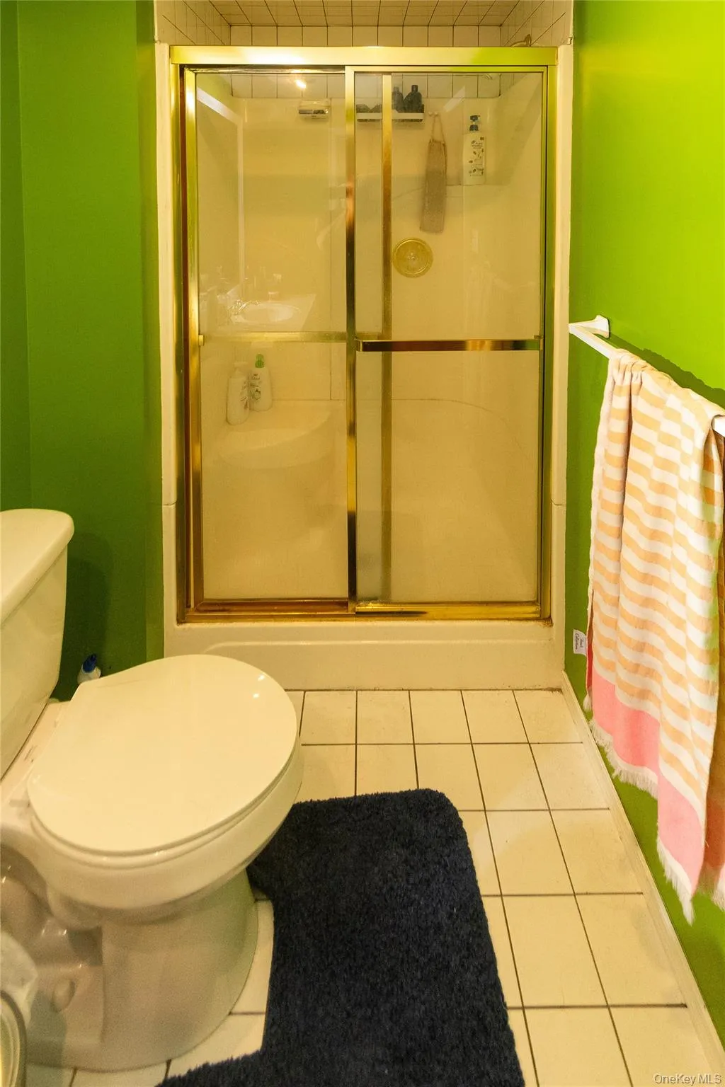 Full bathroom on the lower level Full bathroom on the lower level