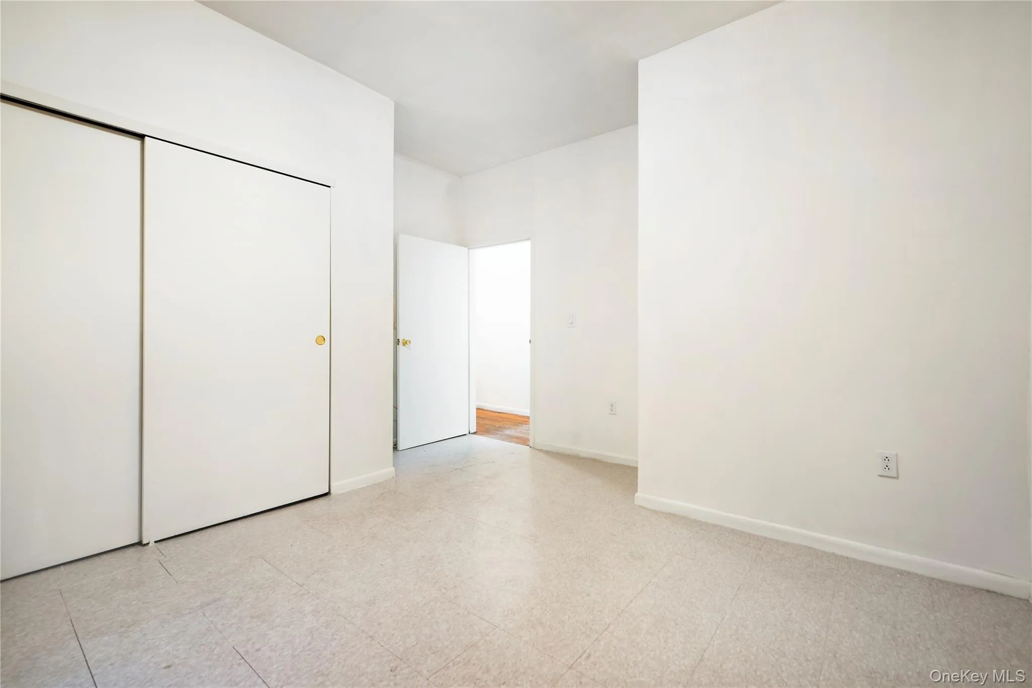 Main bedroom facing north featuring light flooring and a large closet Main bedroom facing north featuring light flooring and a large closet