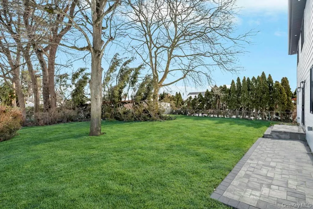 Backyard from sliding doors out from kitchen Backyard from sliding doors out from kitchen