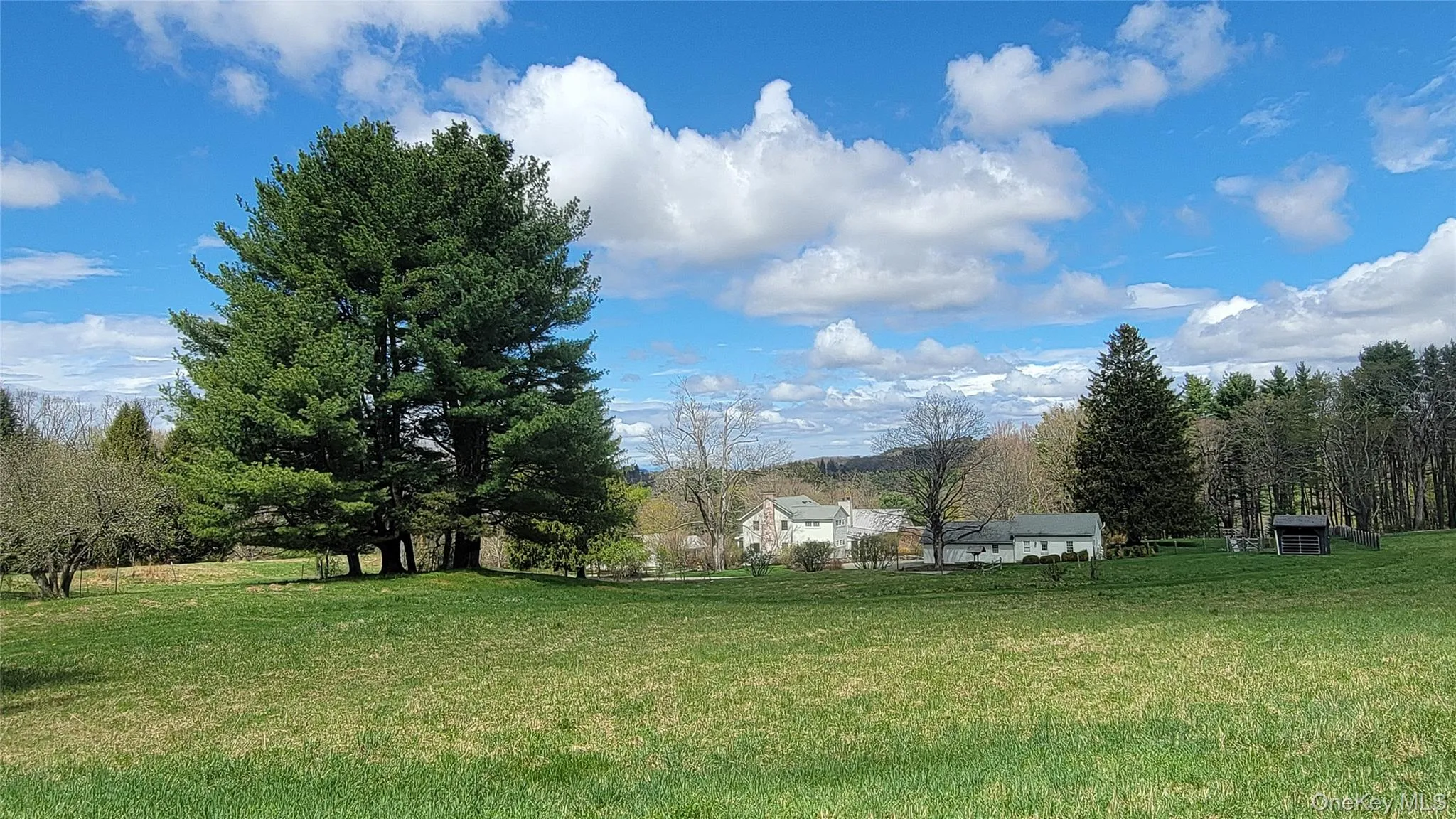 Lower meadow Lower meadow