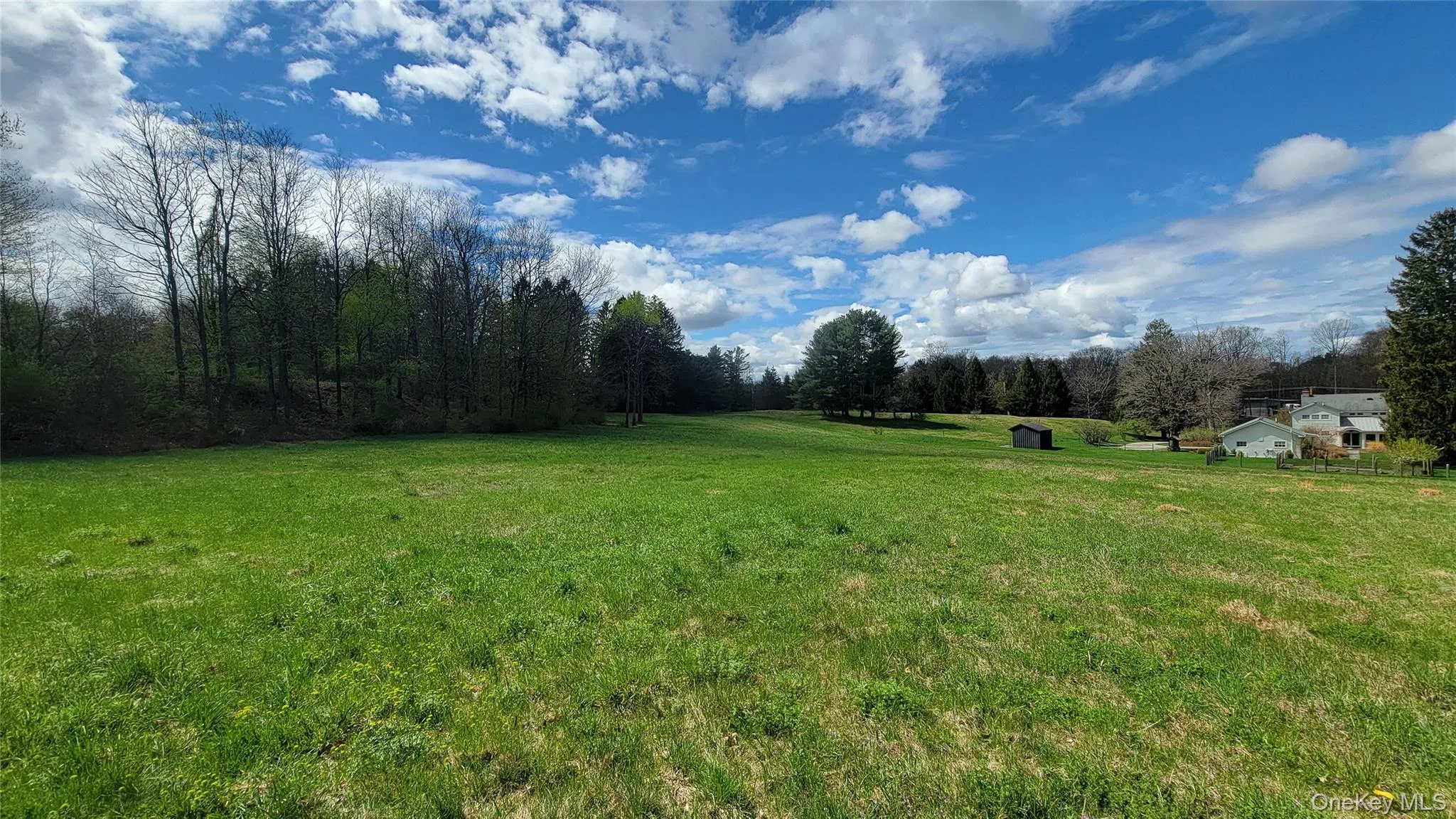 Lower meadow Lower meadow