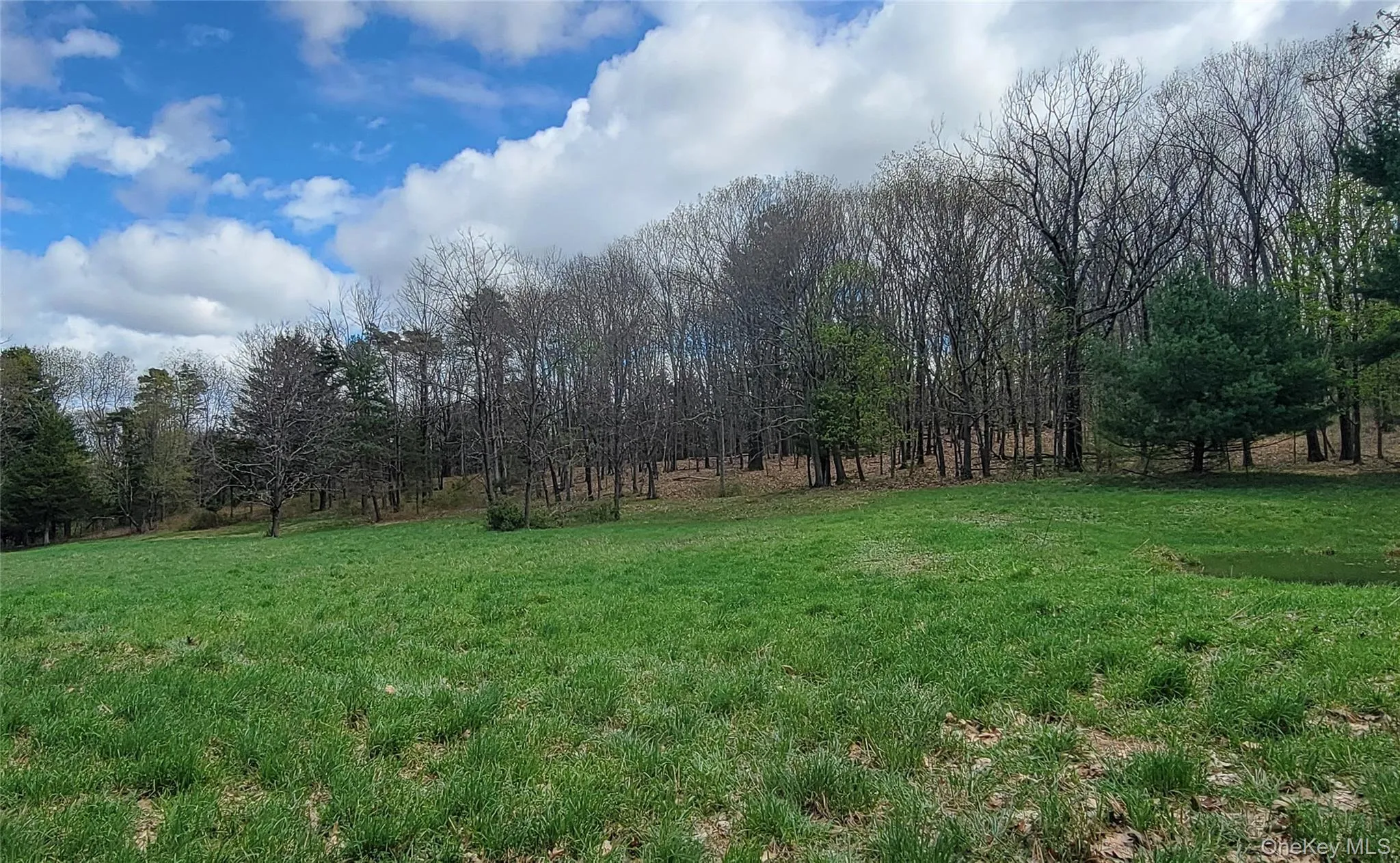 And some woods And some woods