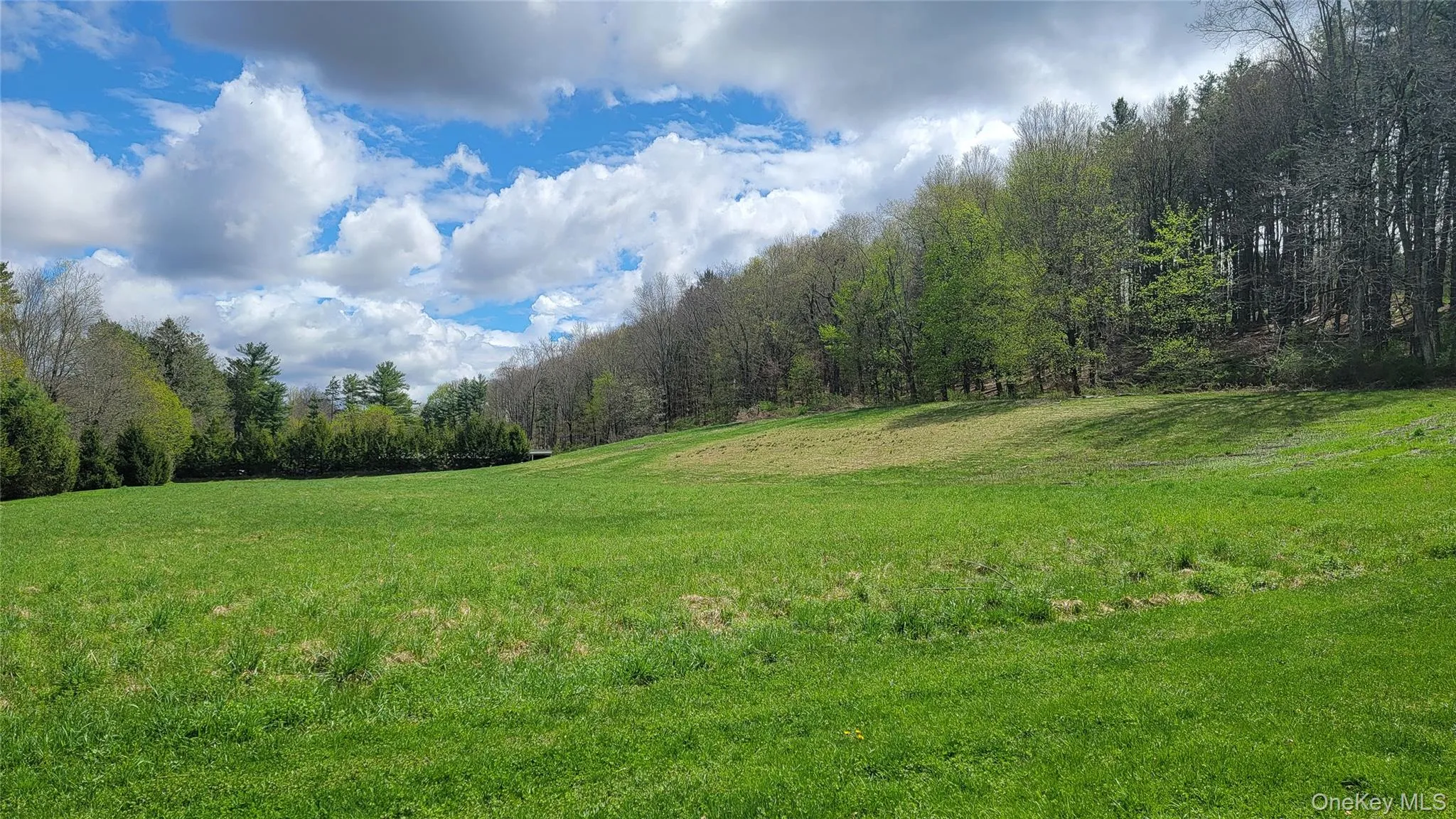 Three acre separate parcel included. Three acre separate parcel included.