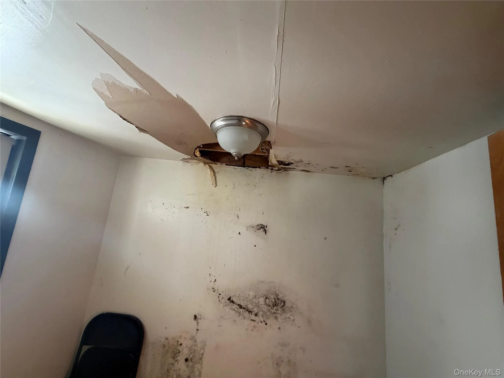 452 7th Avenue, Mount Vernon, NY, 3 Bedrooms Bedrooms, 4 Rooms Rooms,1 BathroomBathrooms,Residential Sale,For Rent,7th,0,961225 452 7th Avenue, Mount Vernon, NY, 3 Bedrooms Bedrooms, 4 Rooms Rooms,1 BathroomBathrooms,Residential Sale,For Rent,7th,0,961225