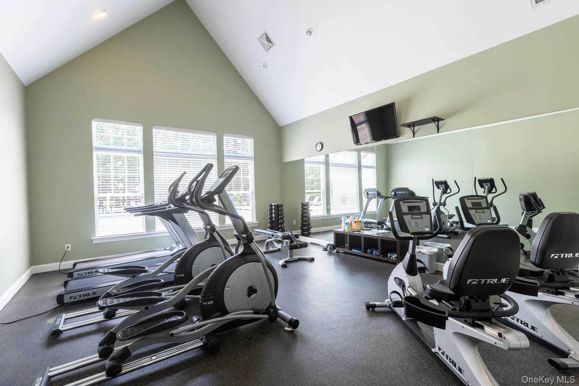 Gym Equipment in Clubhouse Gym Equipment in Clubhouse