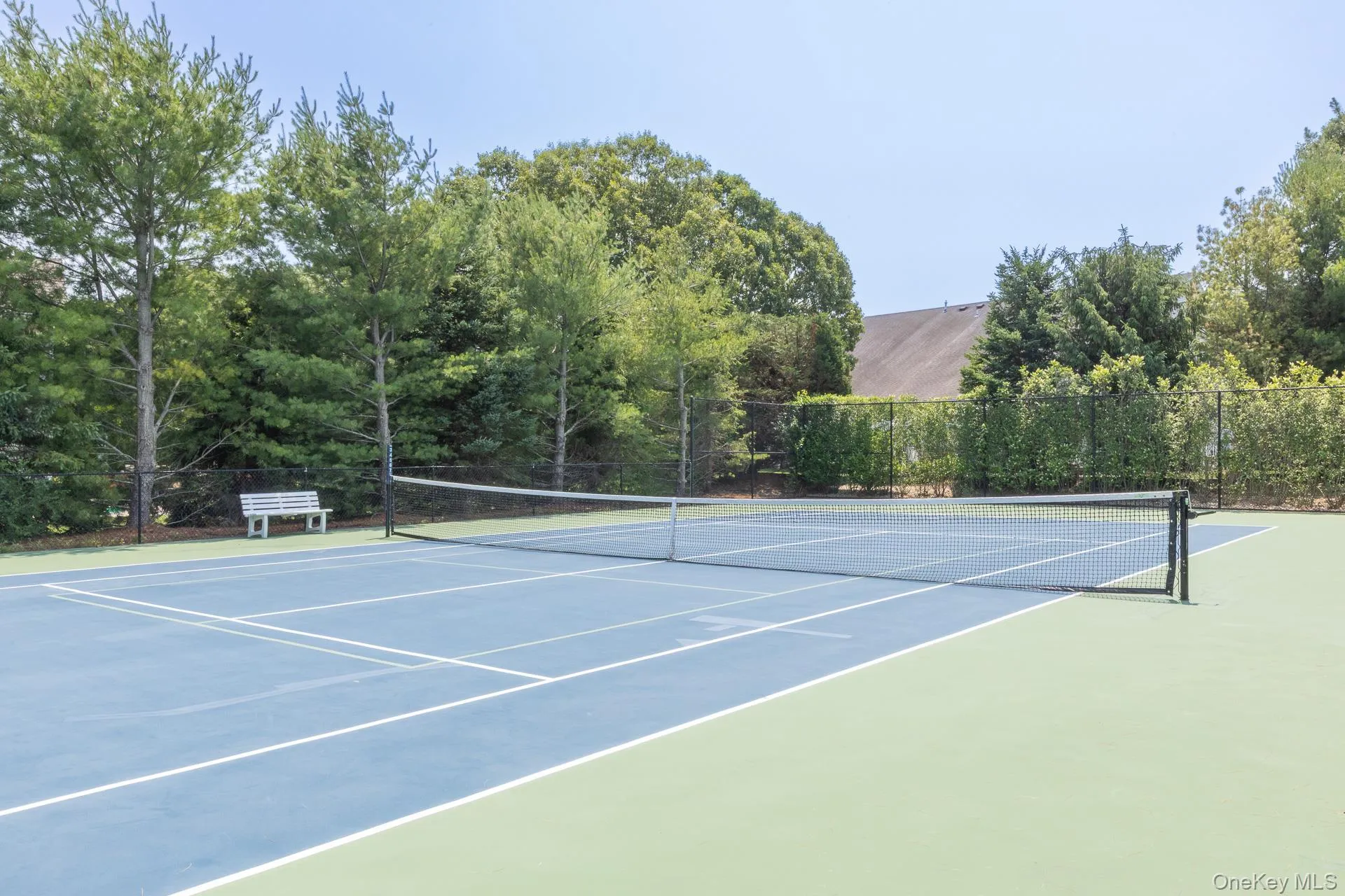 Court with Tennis and Pickleball Court with Tennis and Pickleball