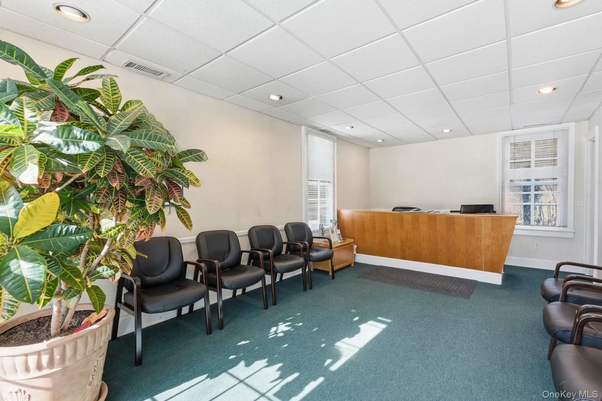 Office Reception Office Reception