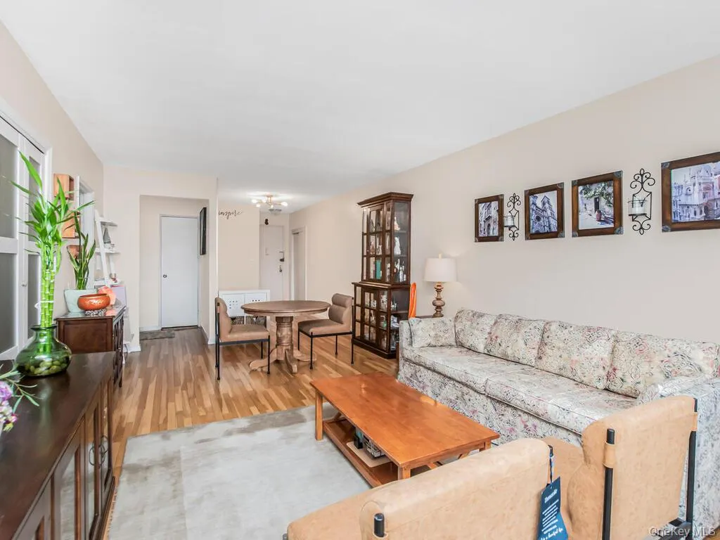 Large Living Room Large Living Room