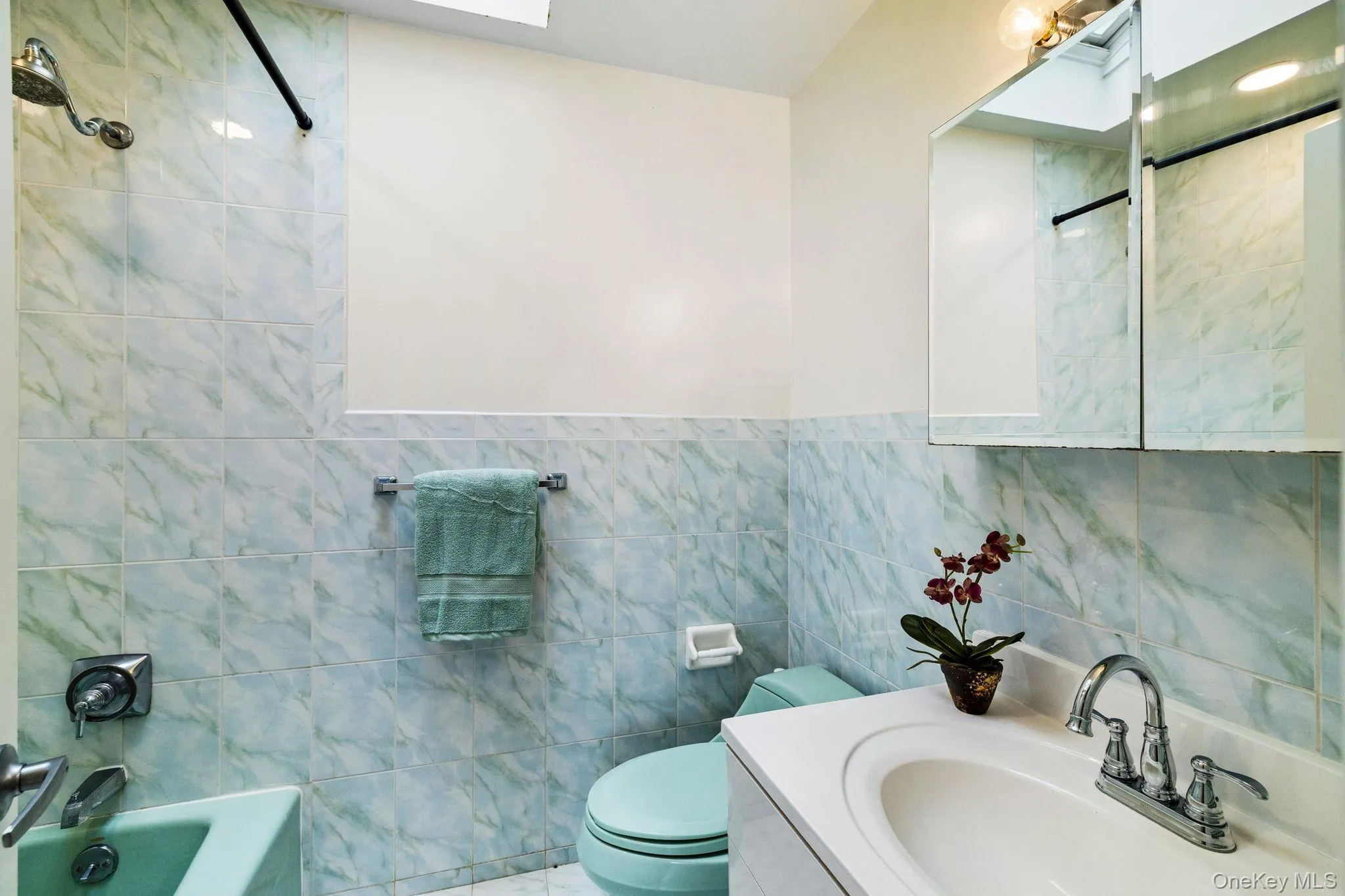 Second Full Bath in Hall w/ Skylight has lots of Natural Light. Second Full Bath in Hall w/ Skylight has lots of Natural Light.