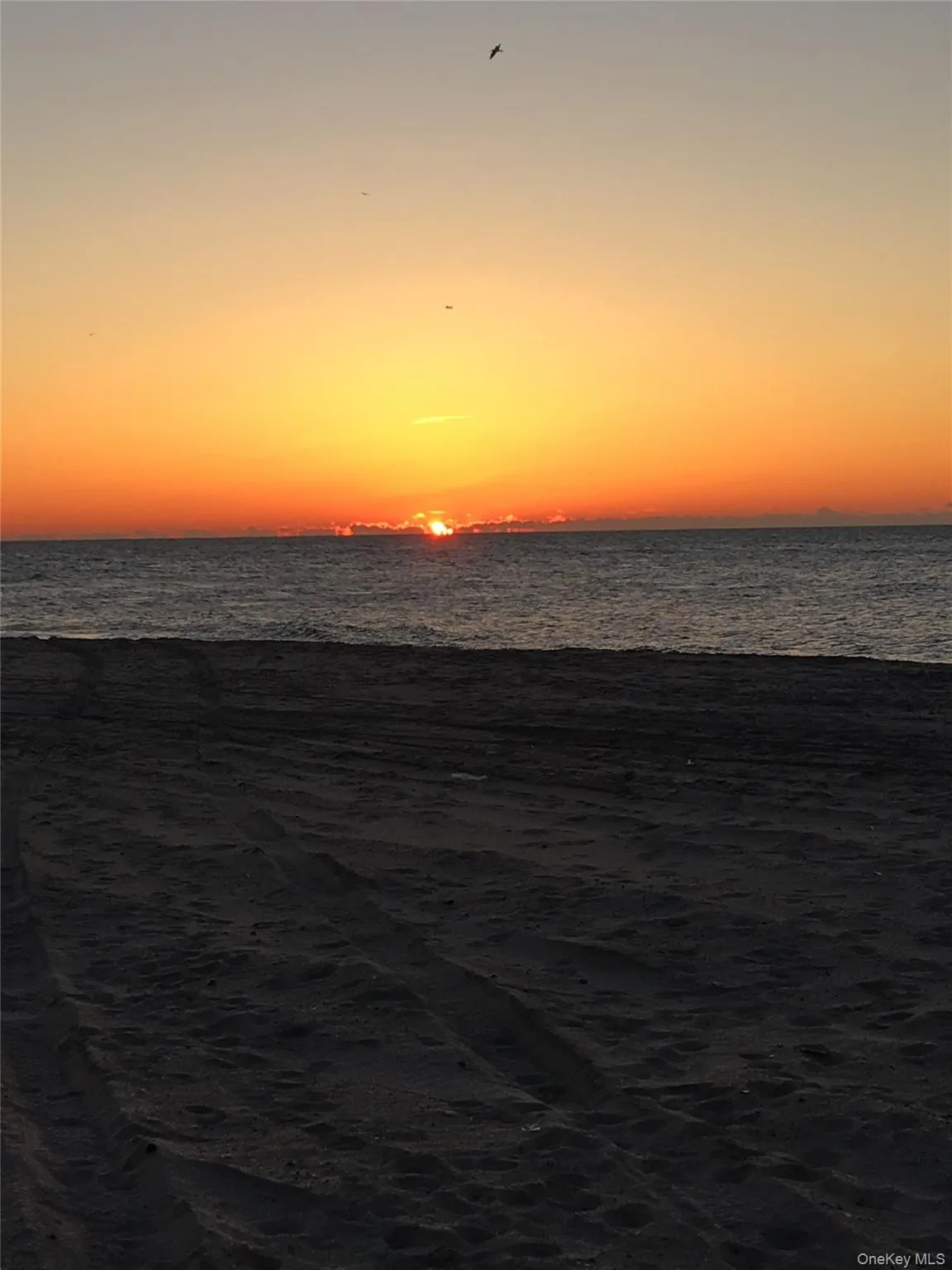 855 Broadway, Long Beach, NY, 1 Bedroom Bedrooms, 4 Rooms Rooms,1 BathroomBathrooms,Residential,For Rent,Broadway,0,961657 855 Broadway, Long Beach, NY, 1 Bedroom Bedrooms, 4 Rooms Rooms,1 BathroomBathrooms,Residential,For Rent,Broadway,0,961657