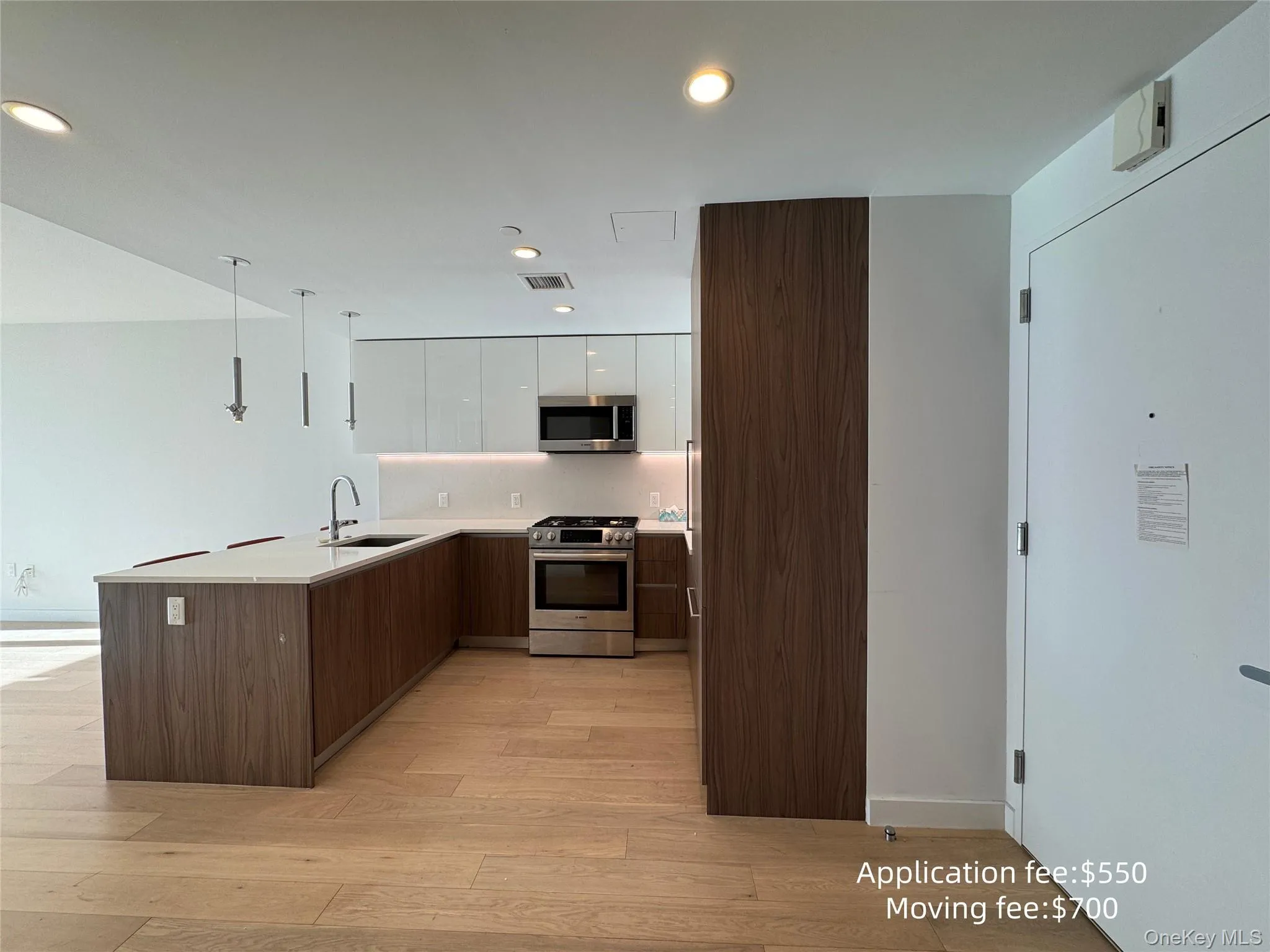Kitchen featuring a peninsula, modern cabinets, stainless steel appliances, dual tone cabinets, and light wood finished floors Kitchen featuring a peninsula, modern cabinets, stainless steel appliances, dual tone cabinets, and light wood finished floors