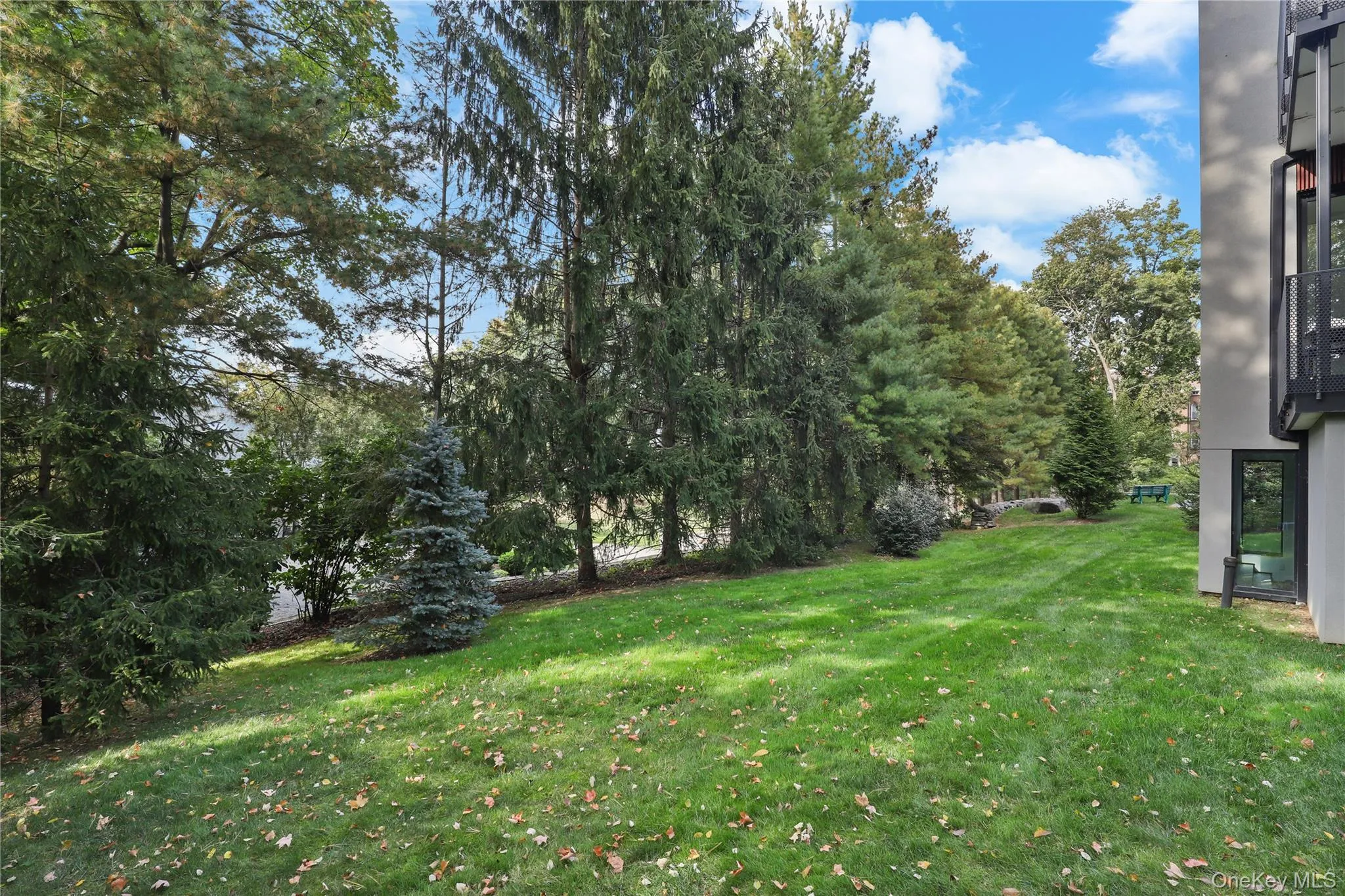 Peaceful outdoor private setting with mature trees and green space Peaceful outdoor private setting with mature trees and green space