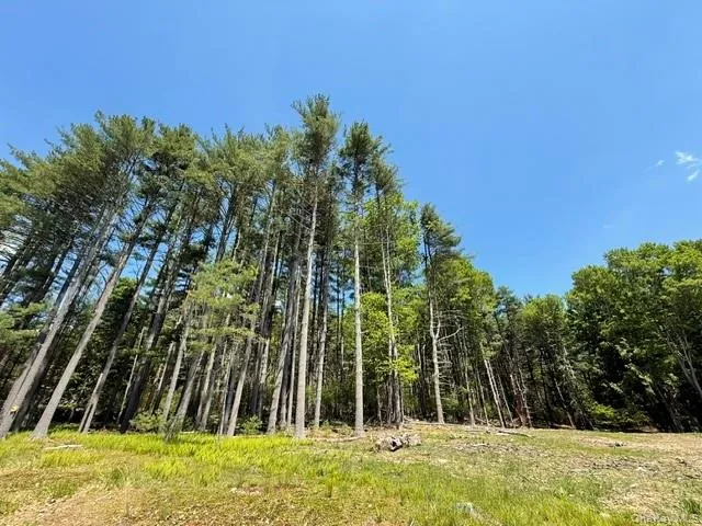 Lot 48.3 & 48.2 High Road, Lumberland, NY, ,Land,For Rent,High,0,961826 Lot 48.3 & 48.2 High Road, Lumberland, NY, ,Land,For Rent,High,0,961826