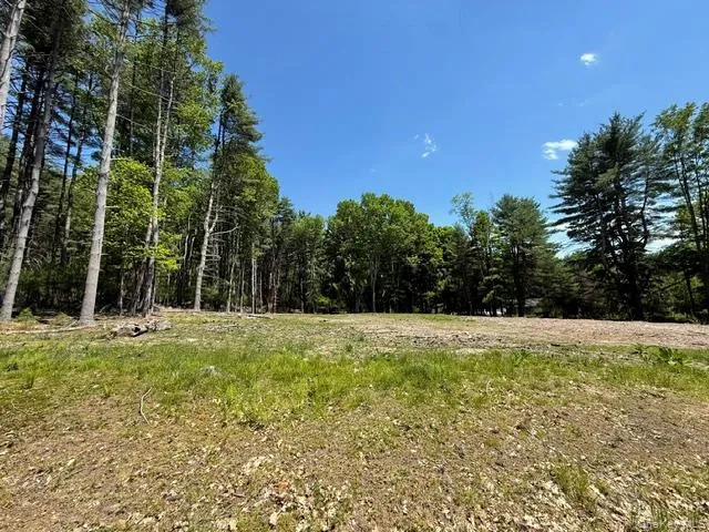 Lot 48.3 & 48.2 High Road, Lumberland, NY, ,Land,For Rent,High,0,961826 Lot 48.3 & 48.2 High Road, Lumberland, NY, ,Land,For Rent,High,0,961826