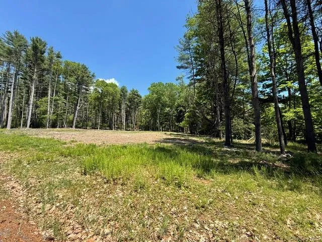 Lot 48.3 & 48.2 High Road, Lumberland, NY, ,Land,For Rent,High,0,961826 Lot 48.3 & 48.2 High Road, Lumberland, NY, ,Land,For Rent,High,0,961826