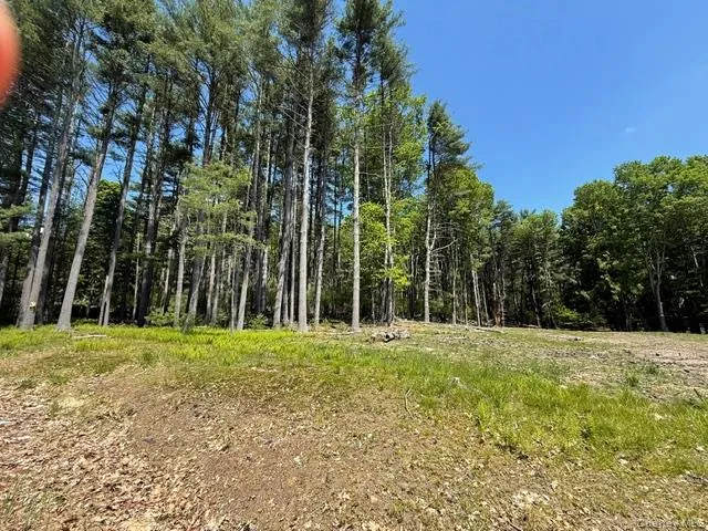 Lot 48.3 & 48.2 High Road, Lumberland, NY, ,Land,For Rent,High,0,961826 Lot 48.3 & 48.2 High Road, Lumberland, NY, ,Land,For Rent,High,0,961826