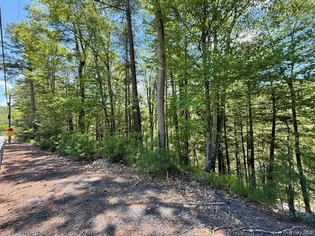 Lot 48.3 & 48.2 High Road, Lumberland, NY, ,Land,For Rent,High,0,961826 Lot 48.3 & 48.2 High Road, Lumberland, NY, ,Land,For Rent,High,0,961826