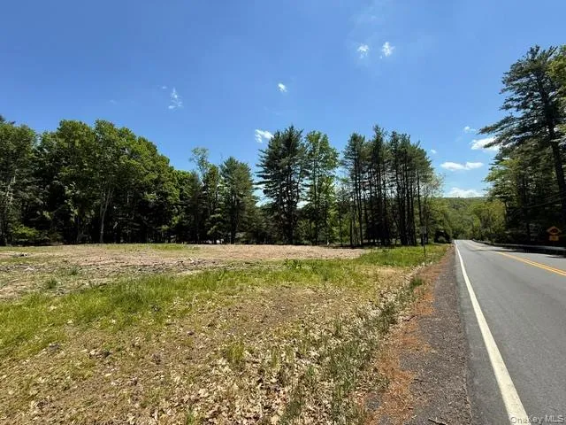 Lot 48.3 & 48.2 High Road, Lumberland, NY, ,Land,For Rent,High,0,961826 Lot 48.3 & 48.2 High Road, Lumberland, NY, ,Land,For Rent,High,0,961826