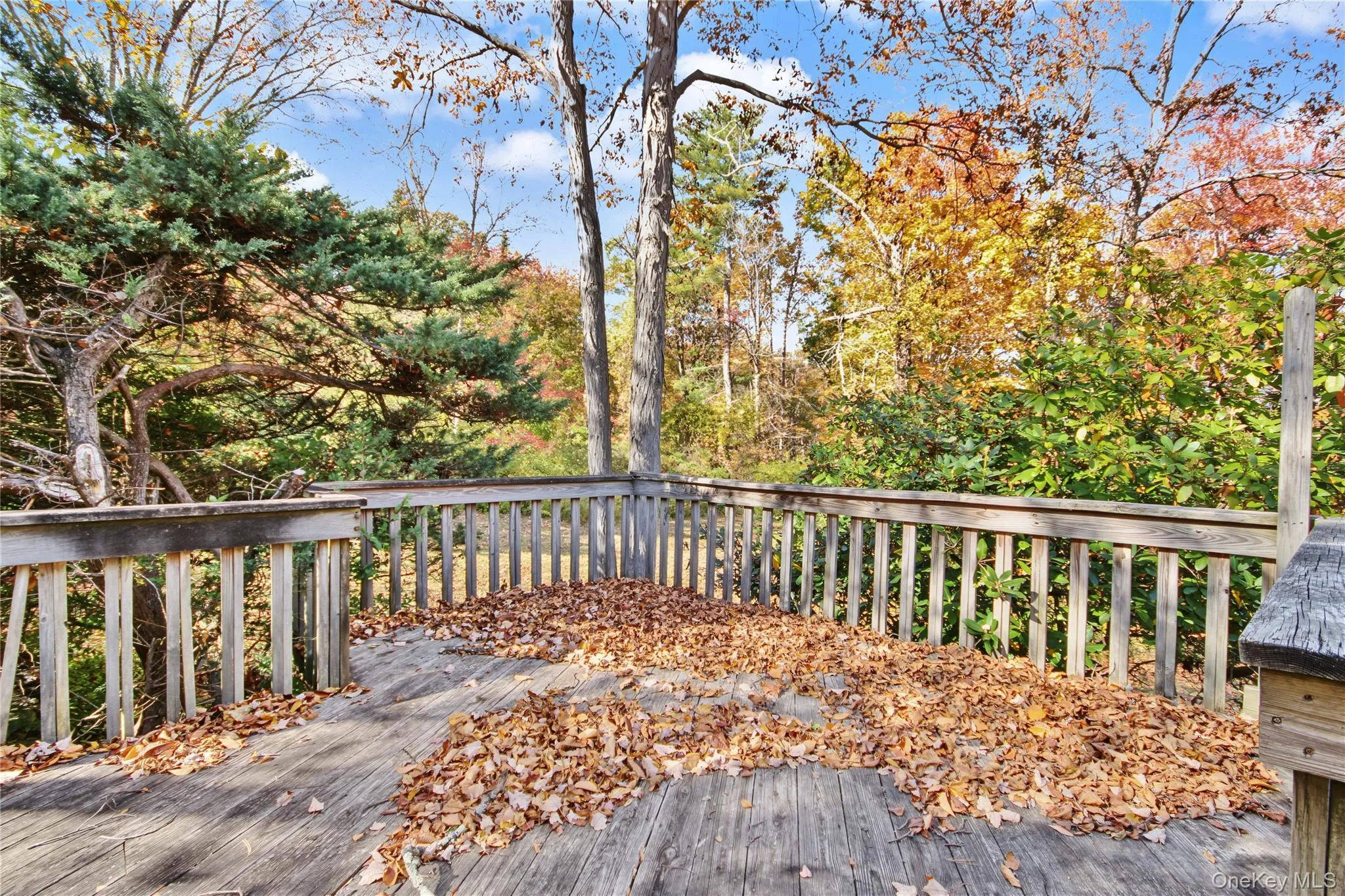 224 Longfellow Drive, Carmel, NY, 3 Bedrooms Bedrooms, 6 Rooms Rooms,2 BathroomsBathrooms,Residential,For Rent,Longfellow,0,961877 224 Longfellow Drive, Carmel, NY, 3 Bedrooms Bedrooms, 6 Rooms Rooms,2 BathroomsBathrooms,Residential,For Rent,Longfellow,0,961877
