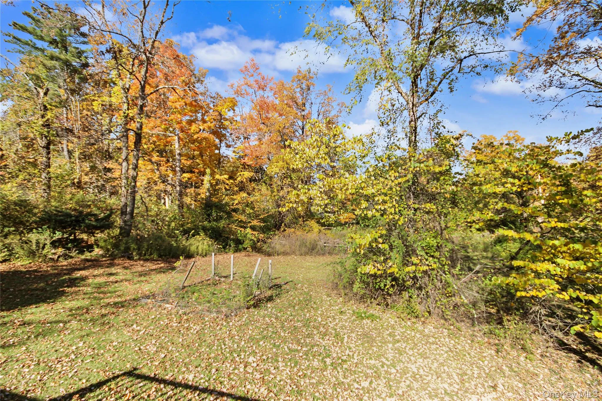 224 Longfellow Drive, Carmel, NY, 3 Bedrooms Bedrooms, 6 Rooms Rooms,2 BathroomsBathrooms,Residential,For Rent,Longfellow,0,961877 224 Longfellow Drive, Carmel, NY, 3 Bedrooms Bedrooms, 6 Rooms Rooms,2 BathroomsBathrooms,Residential,For Rent,Longfellow,0,961877
