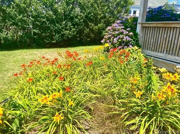 16 Osceola Lane, Southampton, NY, 2 Bedrooms Bedrooms, 4 Rooms Rooms,1 BathroomBathrooms,Residential Lease,For Rent,Osceola,0,962264 16 Osceola Lane, Southampton, NY, 2 Bedrooms Bedrooms, 4 Rooms Rooms,1 BathroomBathrooms,Residential Lease,For Rent,Osceola,0,962264