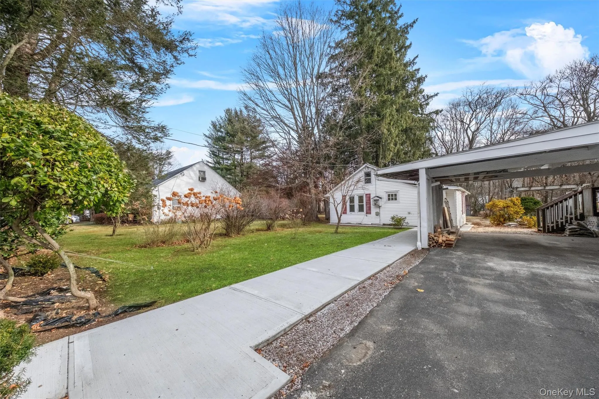 View of yard and driveway View of yard and driveway