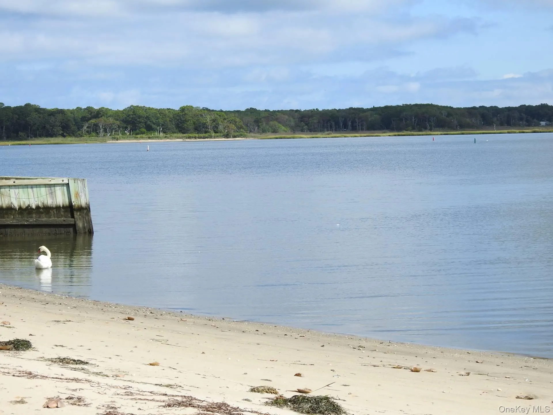 3 Clinton Avenue, Southampton, NY, 2 Bedrooms Bedrooms, 5 Rooms Rooms,1 BathroomBathrooms,Residential Lease,For Rent,Clinton,0,962367 3 Clinton Avenue, Southampton, NY, 2 Bedrooms Bedrooms, 5 Rooms Rooms,1 BathroomBathrooms,Residential Lease,For Rent,Clinton,0,962367