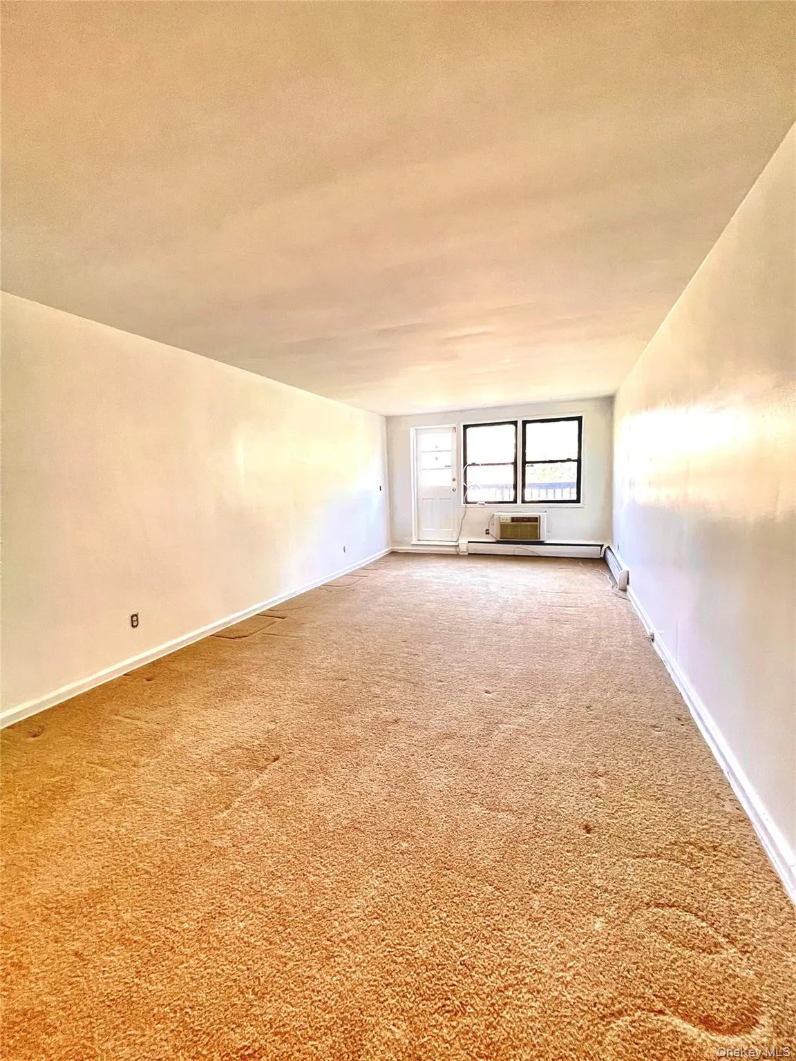 Carpeted large living room with baseboards Carpeted large living room with baseboards