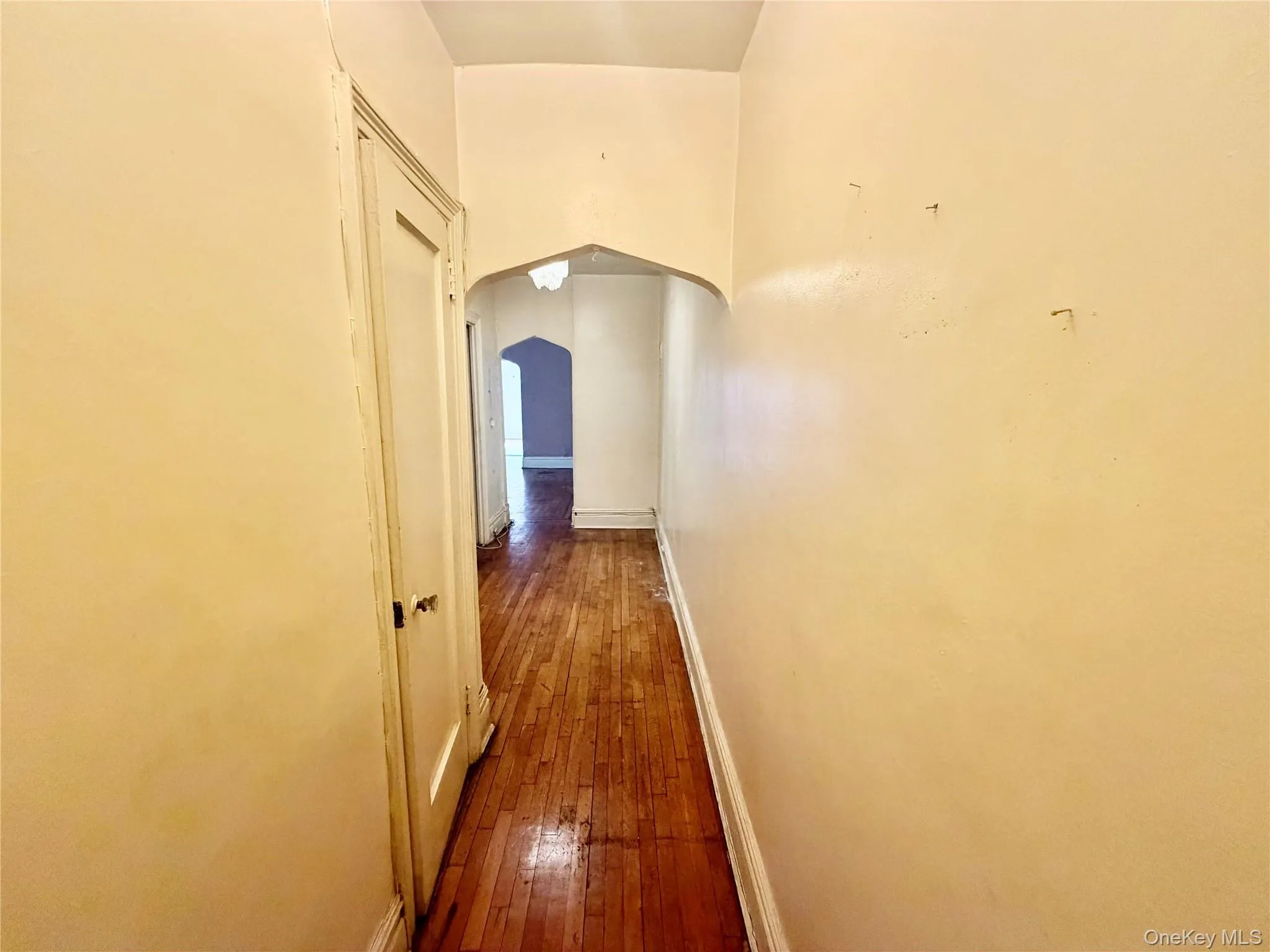 50-05 43rd Avenue, New York, NY, 1 Bedroom Bedrooms, 3 Rooms Rooms,1 BathroomBathrooms,Residential,For Rent,43rd,0,962594 50-05 43rd Avenue, New York, NY, 1 Bedroom Bedrooms, 3 Rooms Rooms,1 BathroomBathrooms,Residential,For Rent,43rd,0,962594