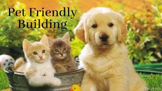 Pet friendly building. Pet friendly building.