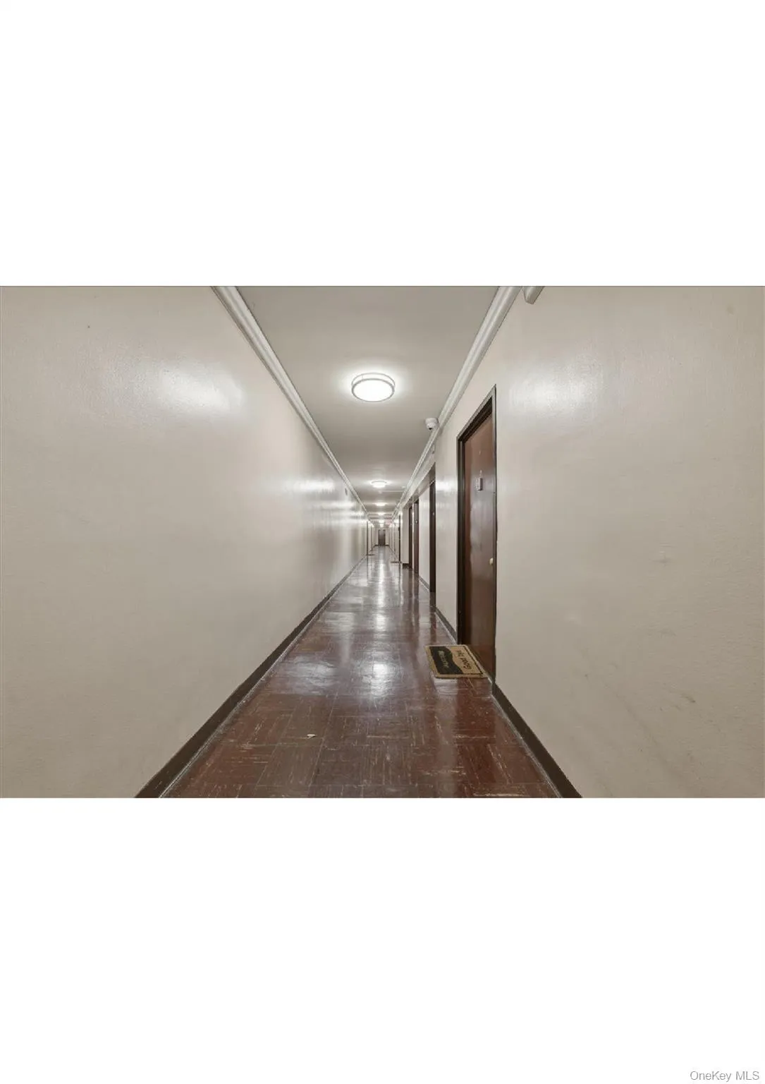 825 Morrison Avenue, New York, NY, 2 Bedrooms Bedrooms, 5 Rooms Rooms,1 BathroomBathrooms,Residential,For Rent,Morrison,0,962748 825 Morrison Avenue, New York, NY, 2 Bedrooms Bedrooms, 5 Rooms Rooms,1 BathroomBathrooms,Residential,For Rent,Morrison,0,962748