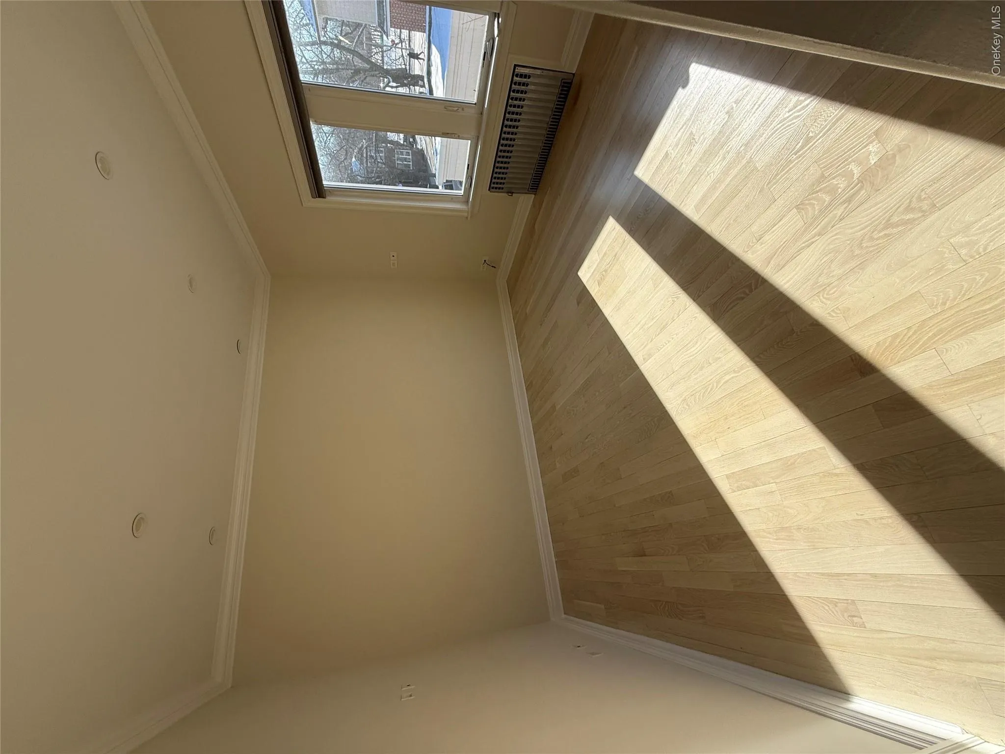 Unfurnished room featuring light wood-style floors, radiator heating unit, and ornamental molding Unfurnished room featuring light wood-style floors, radiator heating unit, and ornamental molding
