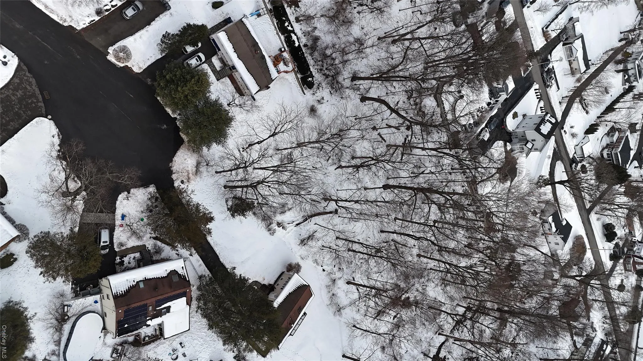 11 Abraham Gunn Memorial Drive, Cortlandt, NY, ,Land,For Rent,Abraham Gunn Memorial,0,962975 11 Abraham Gunn Memorial Drive, Cortlandt, NY, ,Land,For Rent,Abraham Gunn Memorial,0,962975
