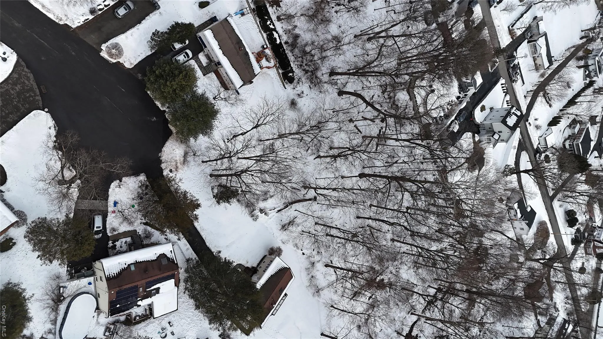 11 Abraham Gunn Memorial Drive, Cortlandt, NY, ,Land,For Rent,Abraham Gunn Memorial,0,962975 11 Abraham Gunn Memorial Drive, Cortlandt, NY, ,Land,For Rent,Abraham Gunn Memorial,0,962975