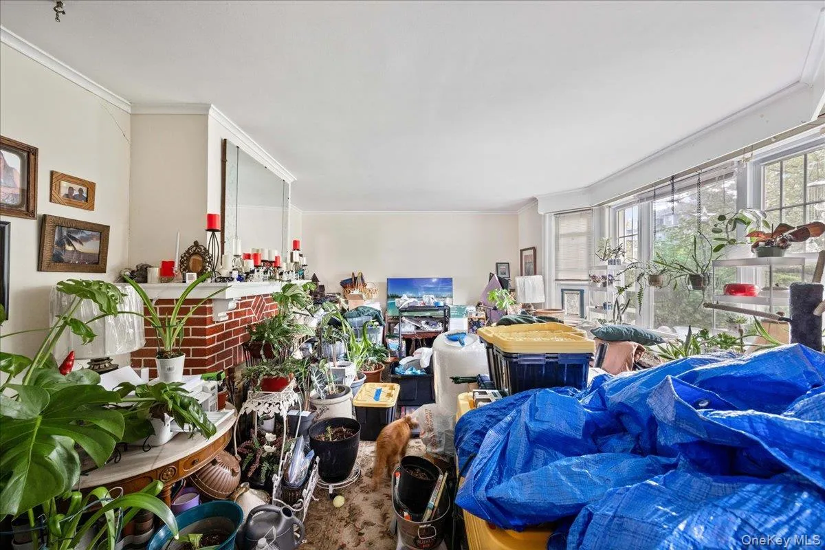 27 Faneuil Place, New Rochelle, NY, 5 Bedrooms Bedrooms, 8 Rooms Rooms,2 BathroomsBathrooms,Residential,For Rent,Faneuil,0,963055 27 Faneuil Place, New Rochelle, NY, 5 Bedrooms Bedrooms, 8 Rooms Rooms,2 BathroomsBathrooms,Residential,For Rent,Faneuil,0,963055