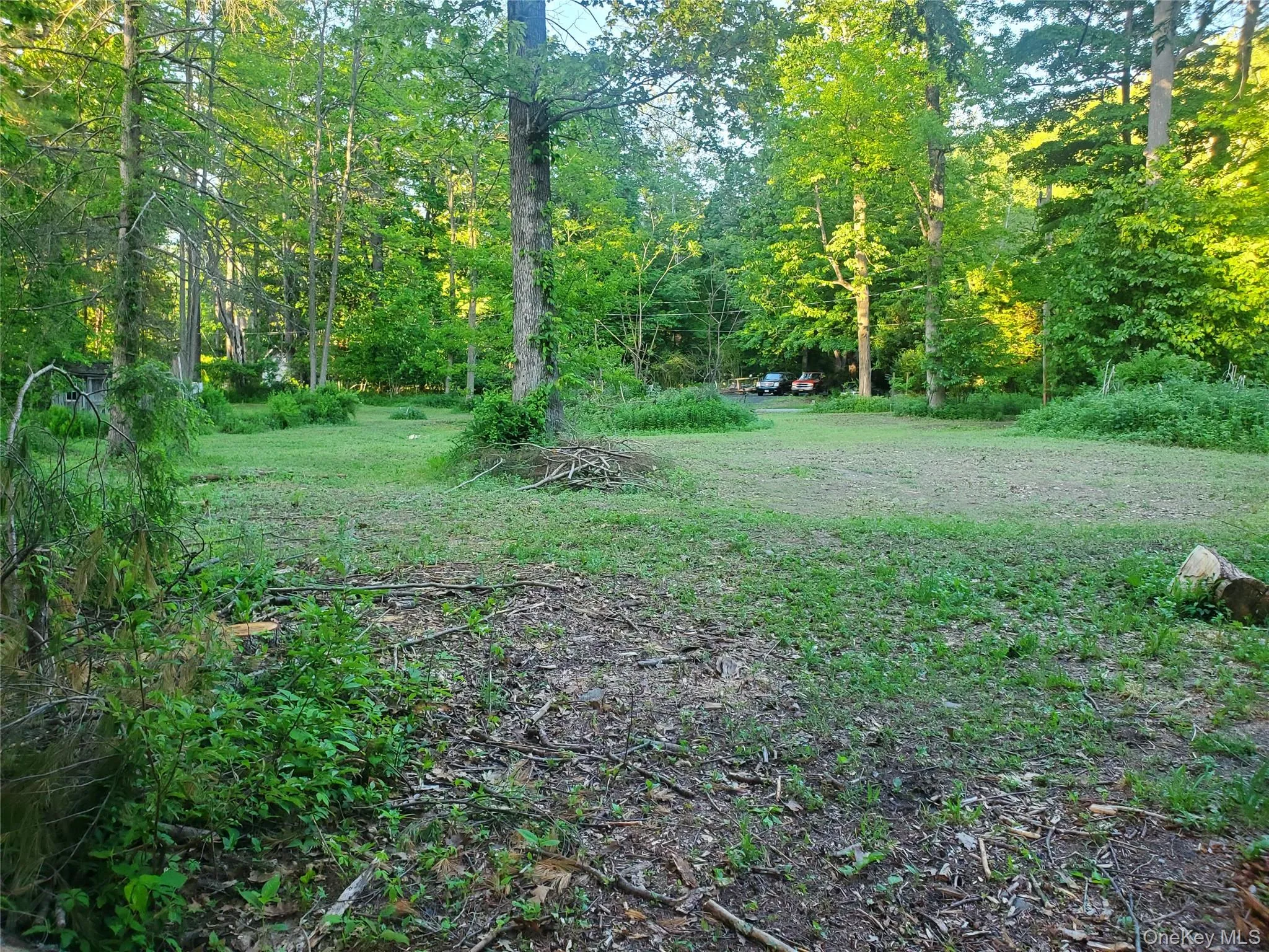 6-8 Grove Street, Deerpark, NY, ,Land,For Rent,Grove,0,963070 6-8 Grove Street, Deerpark, NY, ,Land,For Rent,Grove,0,963070