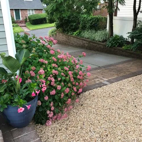 28 Jane Street, North Hempstead, NY, 2 Bedrooms Bedrooms, 9 Rooms Rooms,1 BathroomBathrooms,Residential,For Rent,Jane,0,963143 28 Jane Street, North Hempstead, NY, 2 Bedrooms Bedrooms, 9 Rooms Rooms,1 BathroomBathrooms,Residential,For Rent,Jane,0,963143