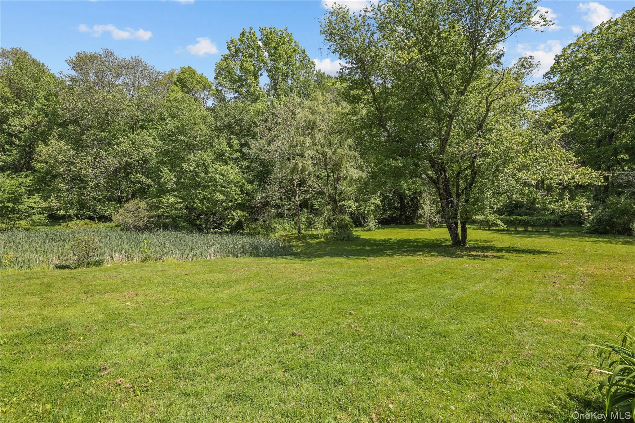 160 Long Ridge Road, Bedford, NY, 3 Bedrooms Bedrooms, 7 Rooms Rooms,3 BathroomsBathrooms,Residential,For Rent,Long Ridge,0,963148 160 Long Ridge Road, Bedford, NY, 3 Bedrooms Bedrooms, 7 Rooms Rooms,3 BathroomsBathrooms,Residential,For Rent,Long Ridge,0,963148