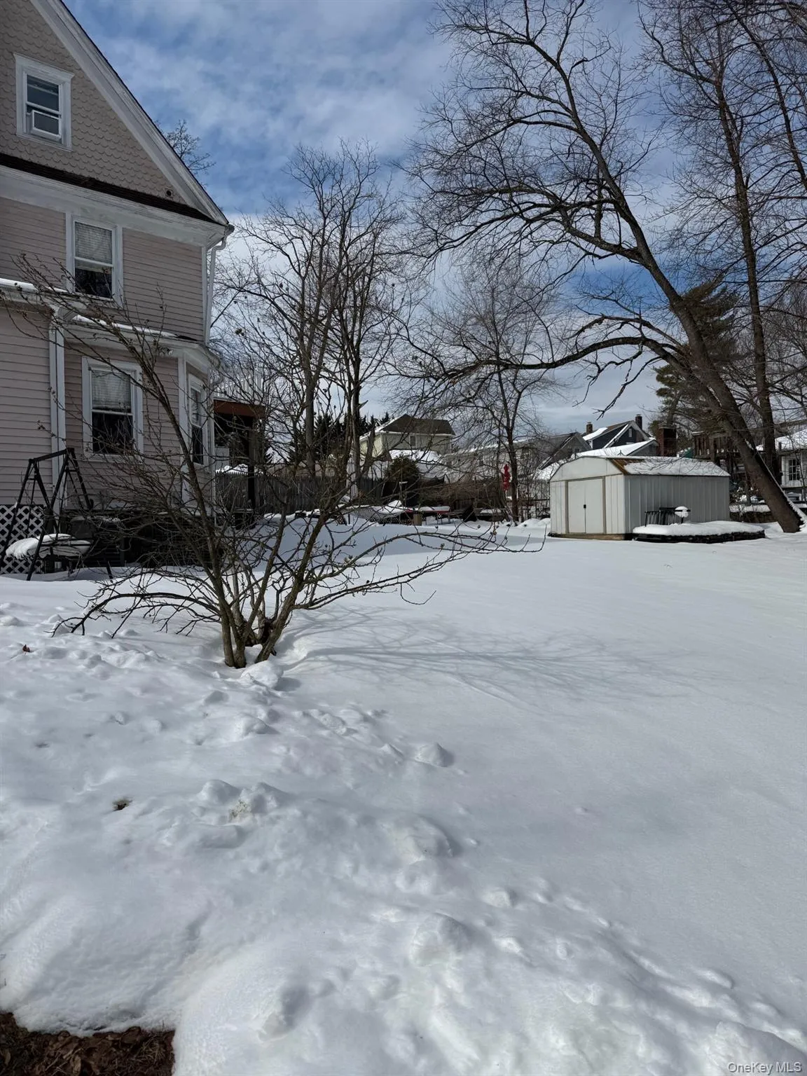 Backyard Area with Shed Backyard Area with Shed