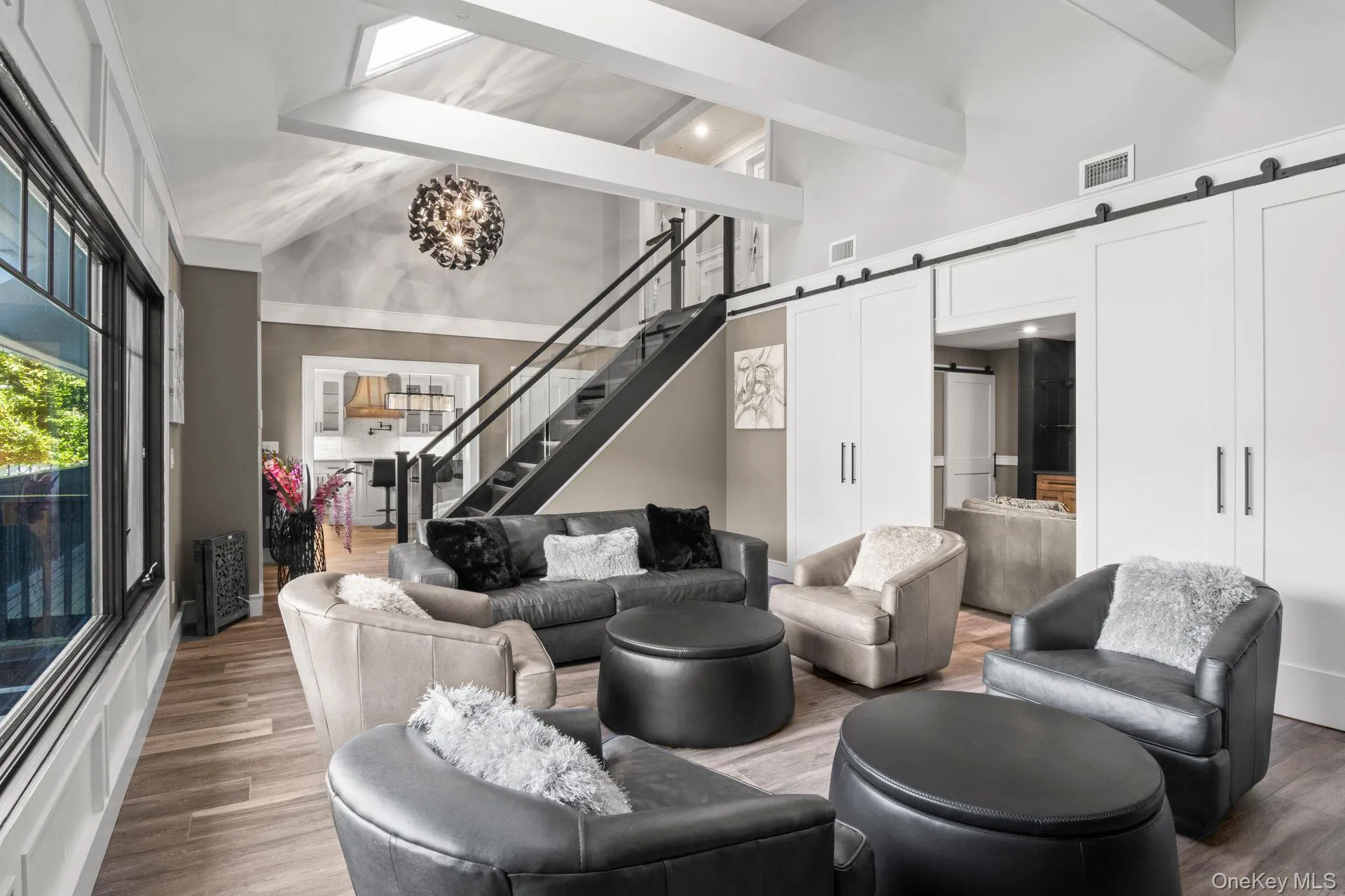 Sun-drenched living room with vaulted ceiling, skylights and barn doors Sun-drenched living room with vaulted ceiling, skylights and barn doors