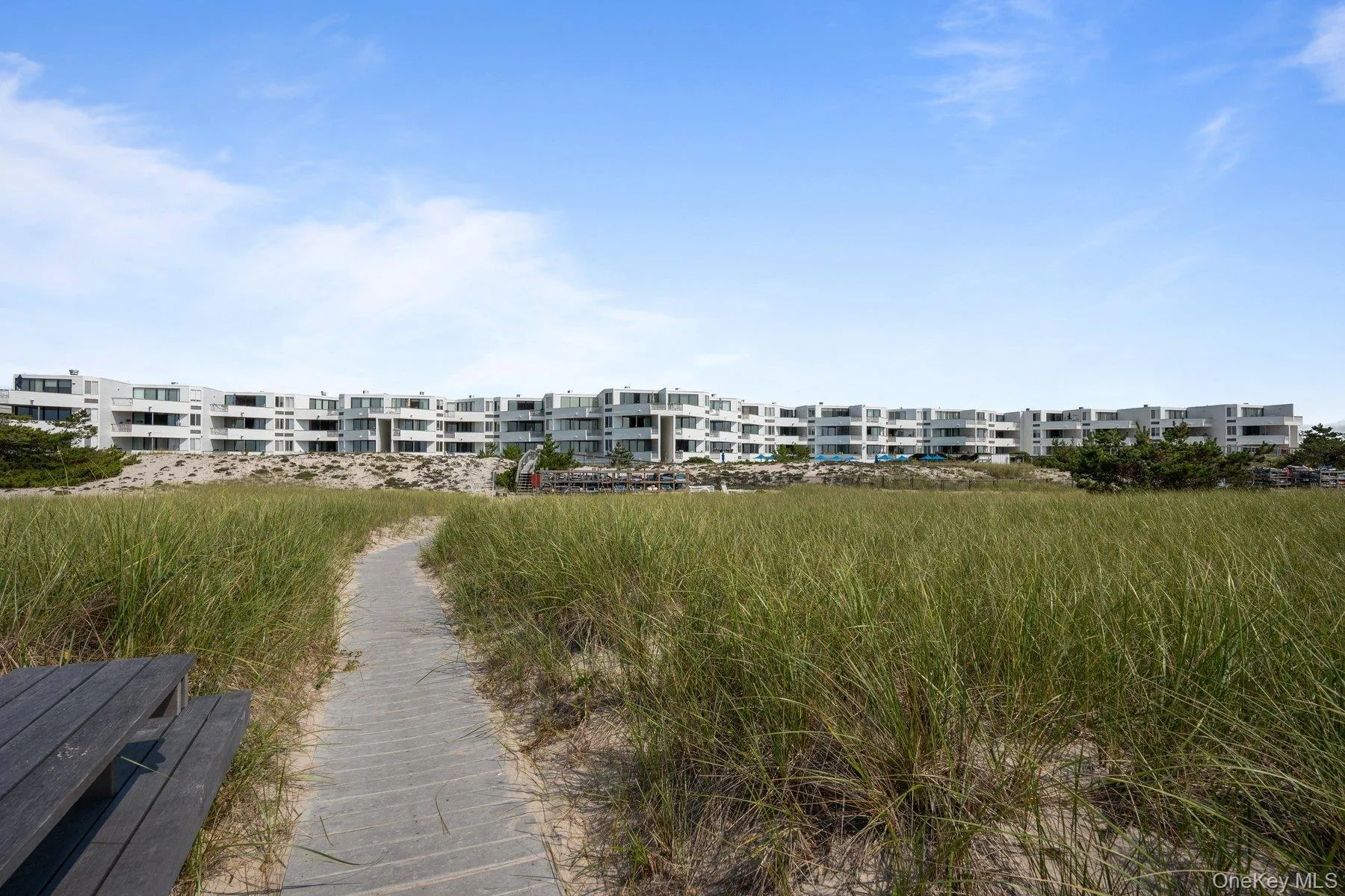 260 Dune, Southampton, NY, 3 Bedrooms Bedrooms, 4 Rooms Rooms,2 BathroomsBathrooms,Residential,For Rent,Dune,0,963477 260 Dune, Southampton, NY, 3 Bedrooms Bedrooms, 4 Rooms Rooms,2 BathroomsBathrooms,Residential,For Rent,Dune,0,963477