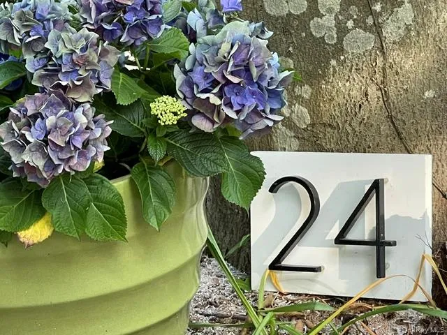 24 Cliff Way, Riverhead, NY, 2 Bedrooms Bedrooms, 5 Rooms Rooms,1 BathroomBathrooms,Residential Lease,For Rent,Cliff,0,963547 24 Cliff Way, Riverhead, NY, 2 Bedrooms Bedrooms, 5 Rooms Rooms,1 BathroomBathrooms,Residential Lease,For Rent,Cliff,0,963547