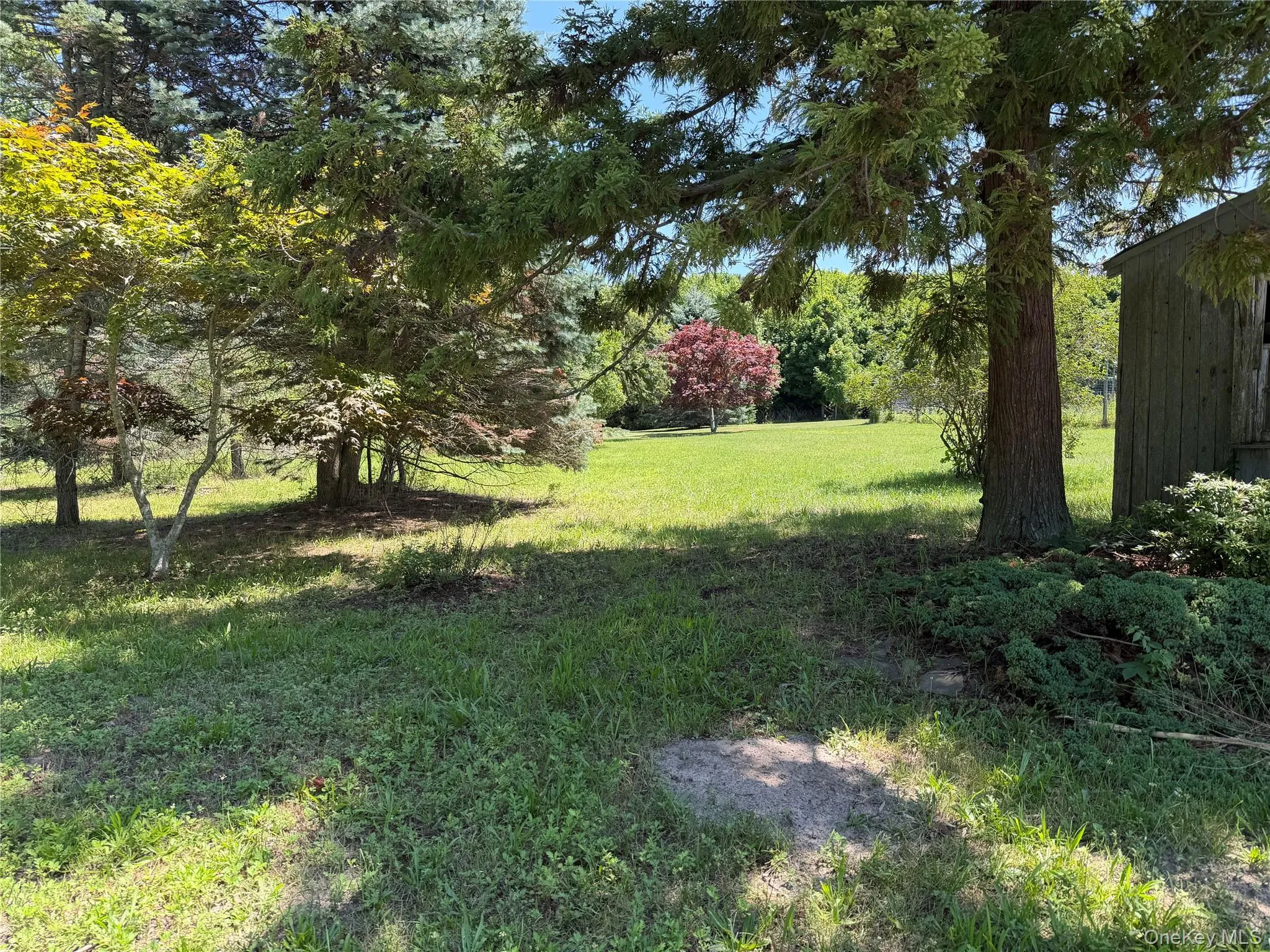 Expansive lawn area featuring mature trees and a rustic wood outbuilding Expansive lawn area featuring mature trees and a rustic wood outbuilding